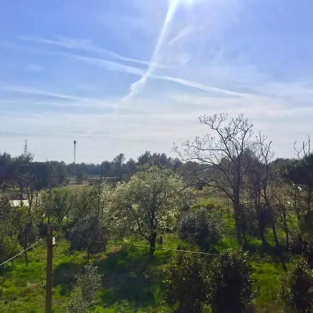 Sobe Bosiljka בית הארחה נין