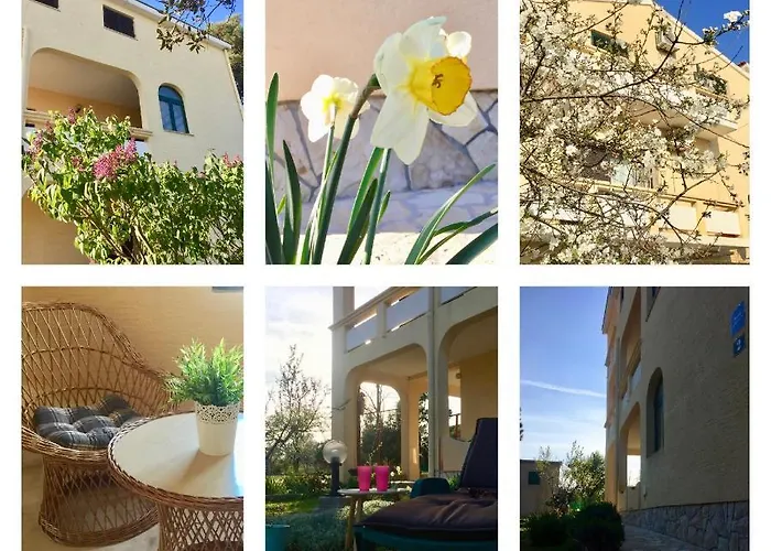 Sobe Bosiljka Penzion 3*